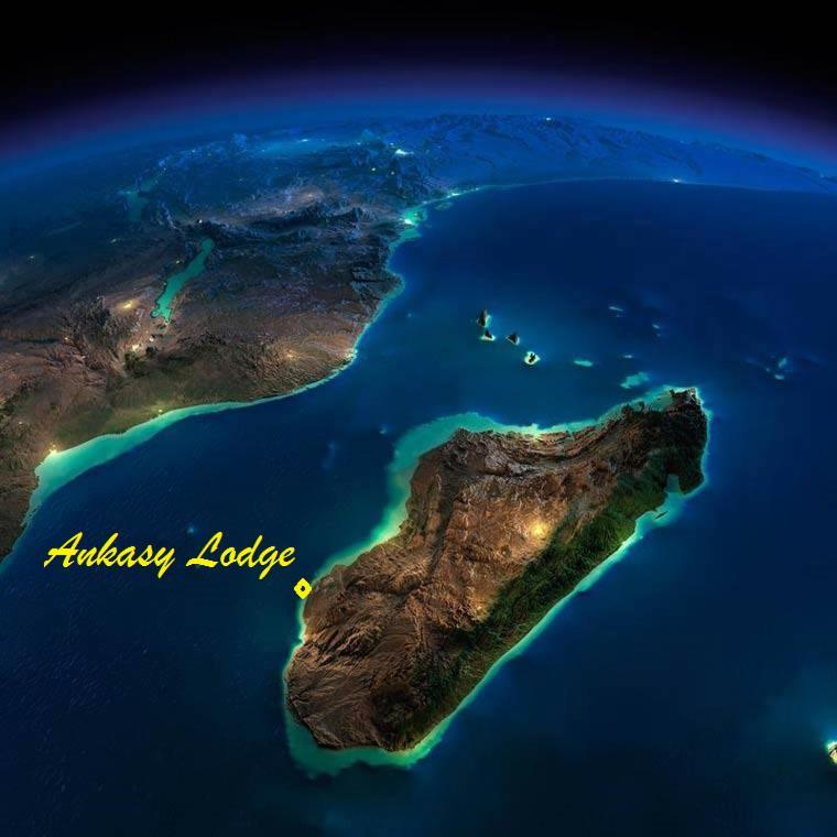 Ankasy Lodge Tsifota Kültér fotó